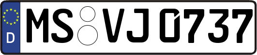 MS-VJ0737