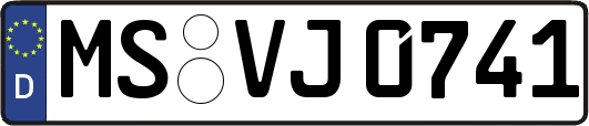 MS-VJ0741