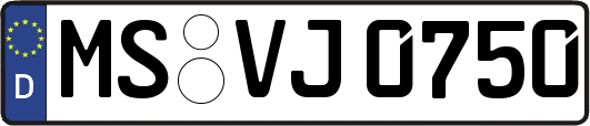 MS-VJ0750