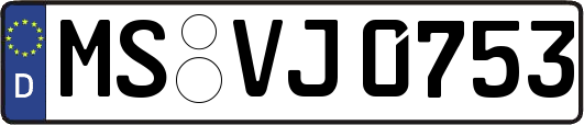 MS-VJ0753