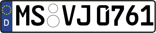 MS-VJ0761