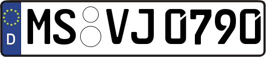 MS-VJ0790