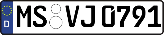 MS-VJ0791