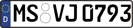 MS-VJ0793