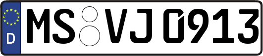 MS-VJ0913