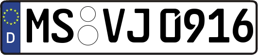 MS-VJ0916