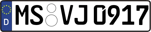 MS-VJ0917