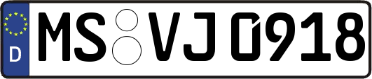 MS-VJ0918
