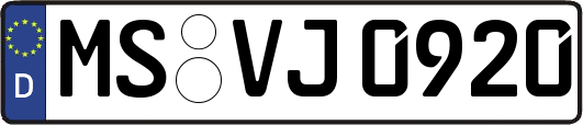 MS-VJ0920