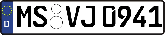 MS-VJ0941