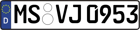 MS-VJ0953