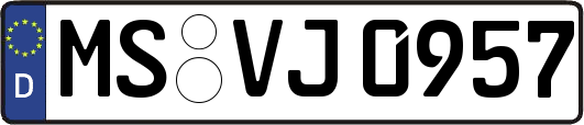 MS-VJ0957