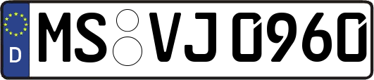 MS-VJ0960