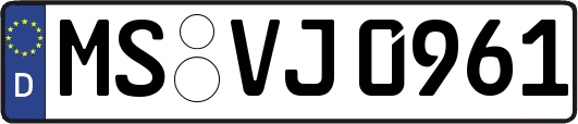 MS-VJ0961