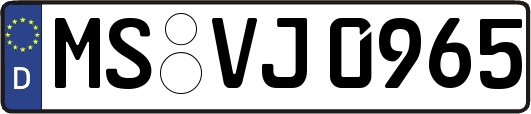 MS-VJ0965