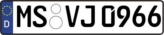 MS-VJ0966