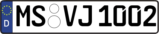 MS-VJ1002