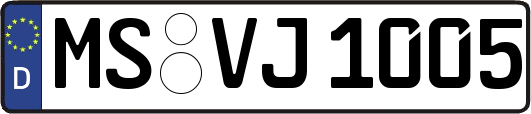 MS-VJ1005