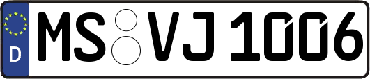 MS-VJ1006