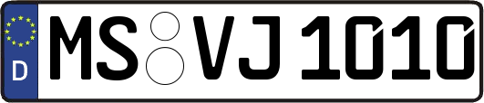 MS-VJ1010