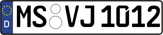 MS-VJ1012