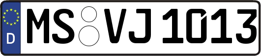 MS-VJ1013
