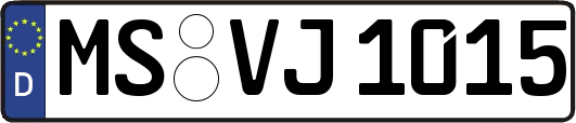 MS-VJ1015
