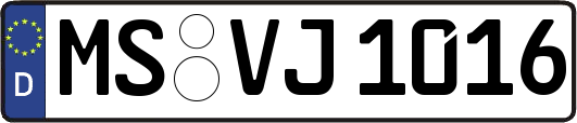 MS-VJ1016