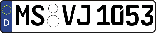 MS-VJ1053