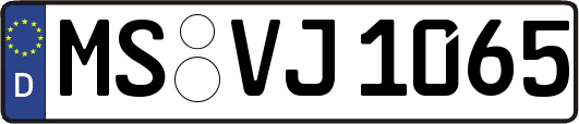 MS-VJ1065
