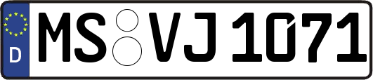 MS-VJ1071