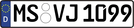 MS-VJ1099