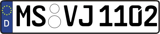 MS-VJ1102