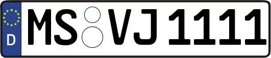 MS-VJ1111
