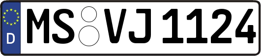 MS-VJ1124