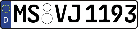 MS-VJ1193