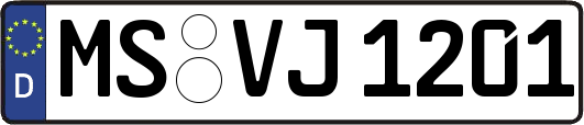 MS-VJ1201