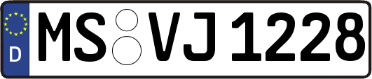 MS-VJ1228