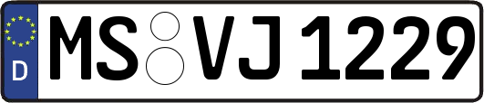 MS-VJ1229