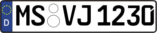 MS-VJ1230