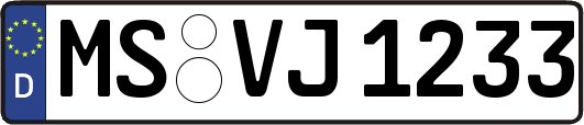 MS-VJ1233