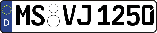 MS-VJ1250