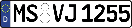 MS-VJ1255