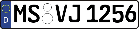 MS-VJ1256