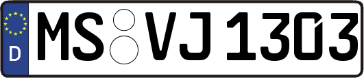 MS-VJ1303