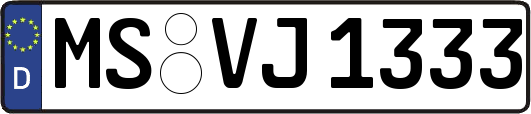 MS-VJ1333