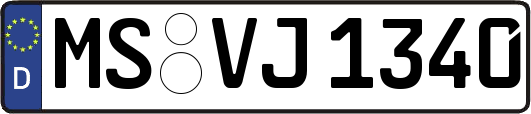 MS-VJ1340