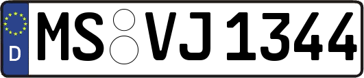 MS-VJ1344