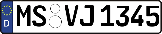 MS-VJ1345
