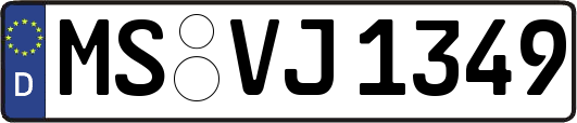 MS-VJ1349
